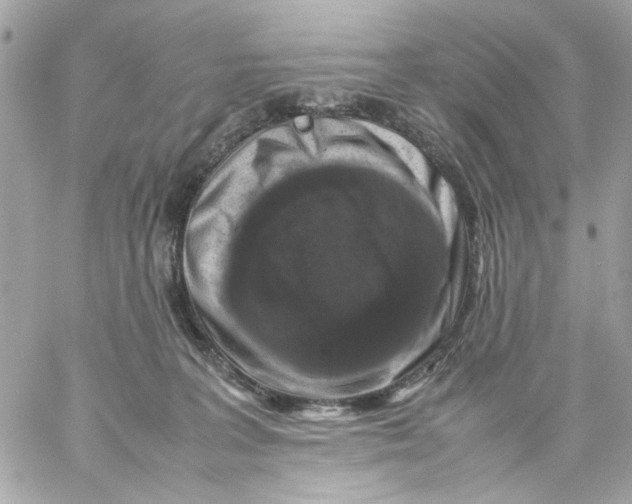 X0000057080227200510071853