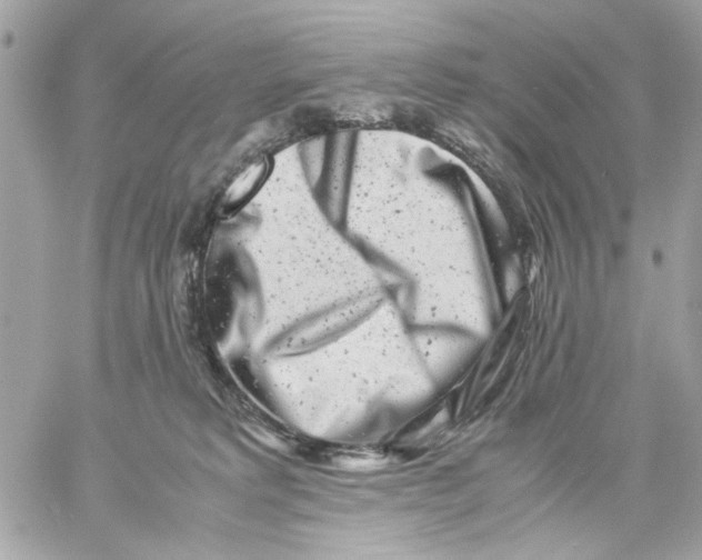 X0000057080229200510071853