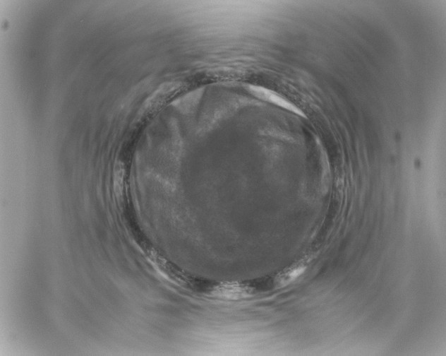 X0000057080231200510071853