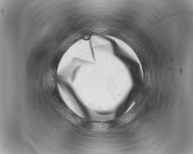 X0000057080234200510071853