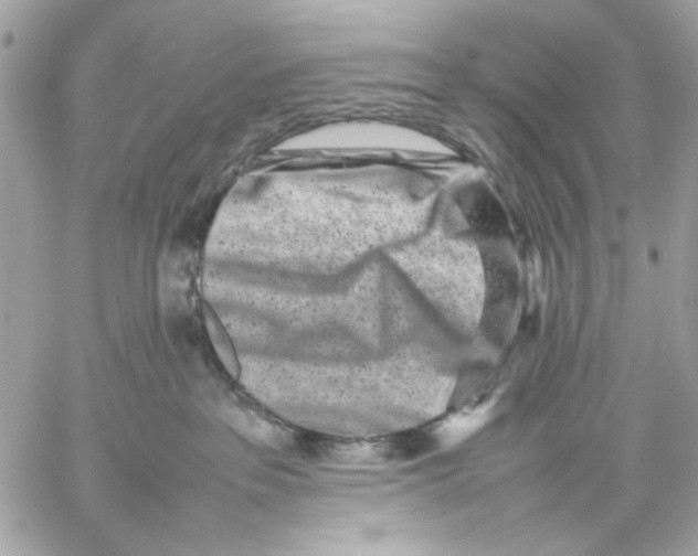 X0000057080237200510071853