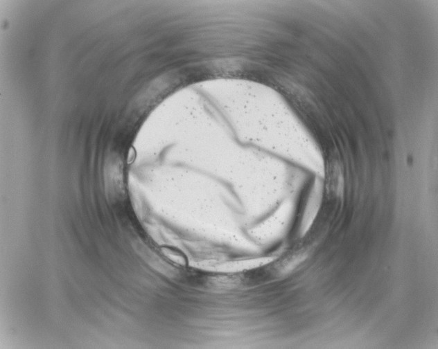 X0000057080238200510071853