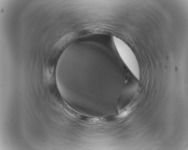 X0000057080239200510071853