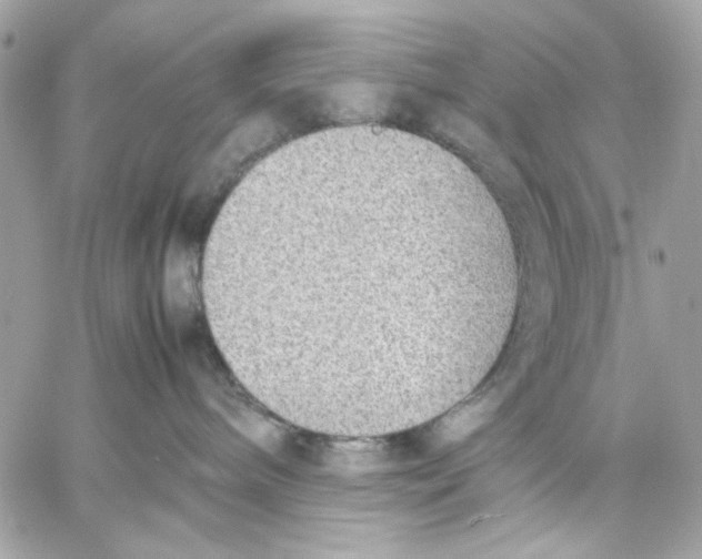 X0000057080240200510071853