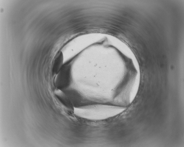 X0000057080241200510071852