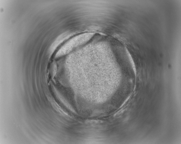 X0000057080242200510071852