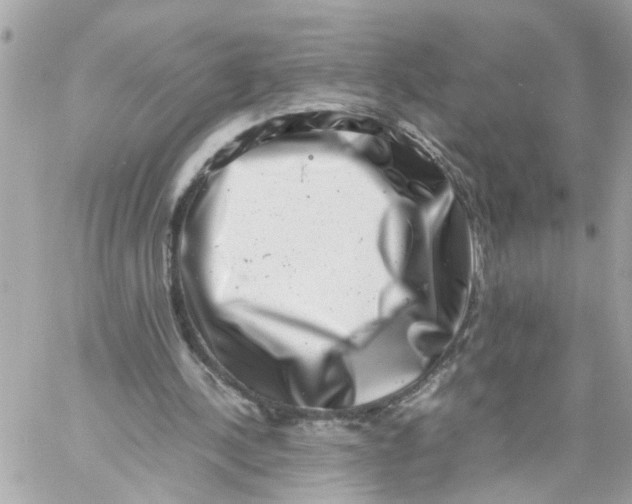 X0000057080244200510071852