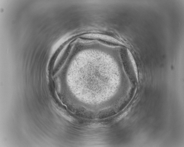 X0000057080246200510071852