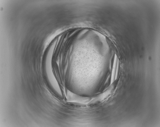 X0000057080248200510071852