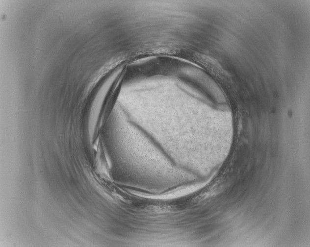 X0000057080250200510071852