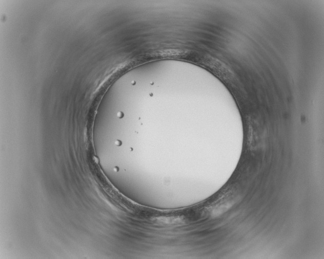 X0000057080251200510071852