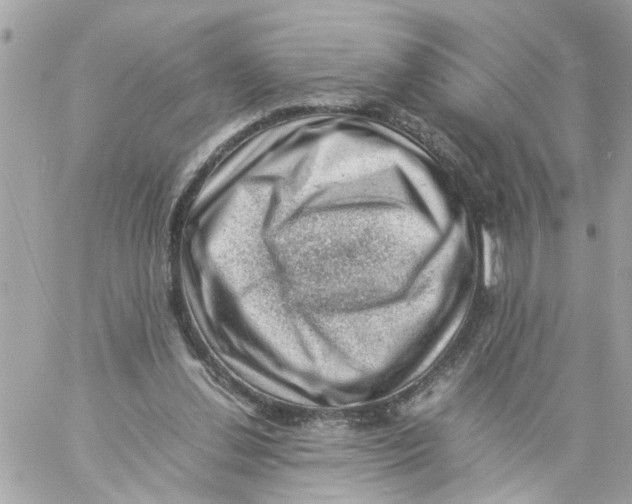 X0000057080252200510071852