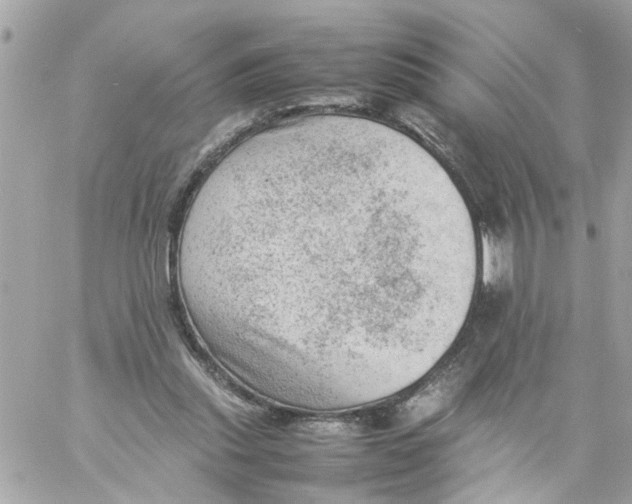 X0000057080253200510071852