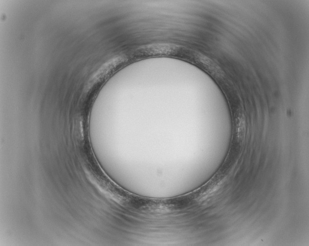 X0000057080254200510071852