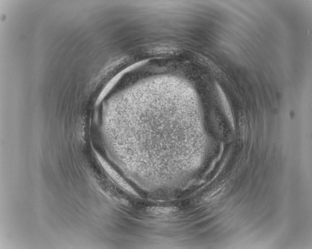 X0000057080255200510071852