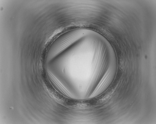 X0000057080256200510071853