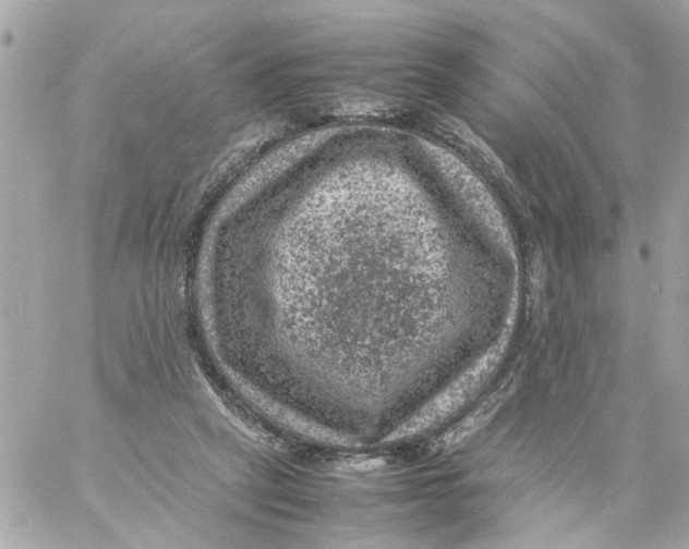 X0000057080257200510071853