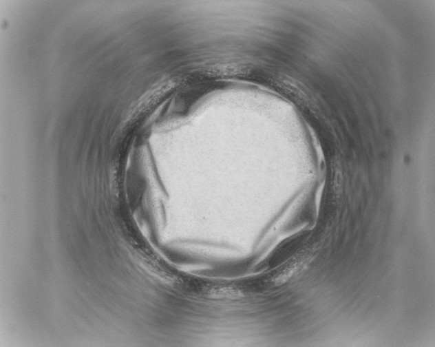 X0000057080258200510071853