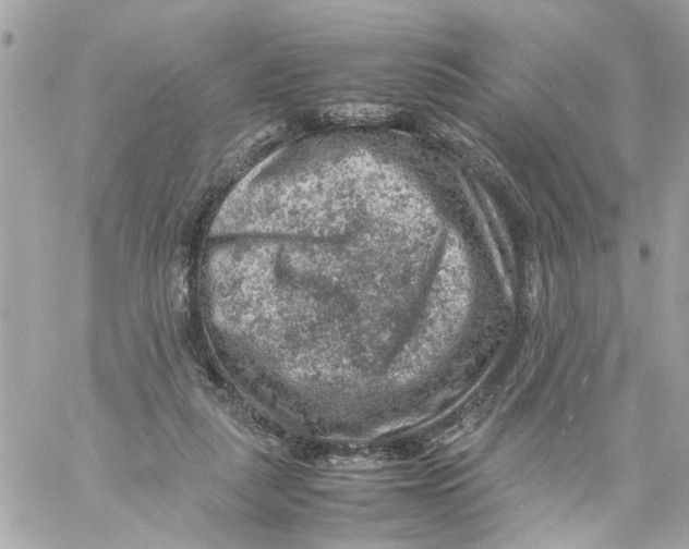 X0000057080259200510071853