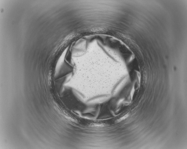 X0000057080260200510071853