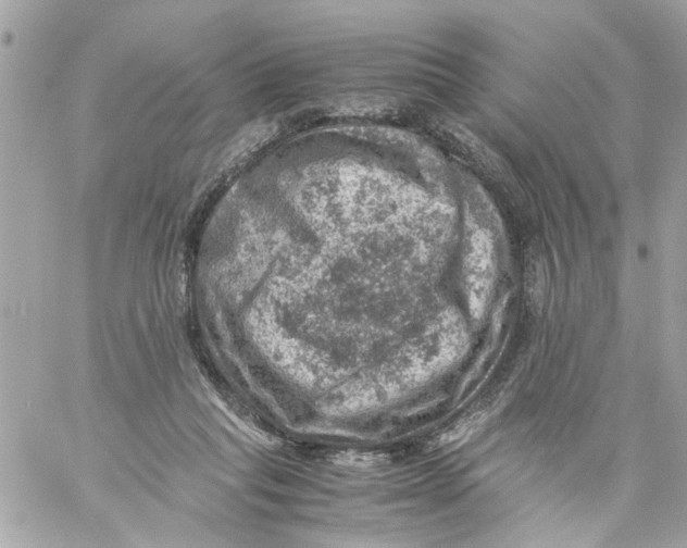 X0000057080261200510071853