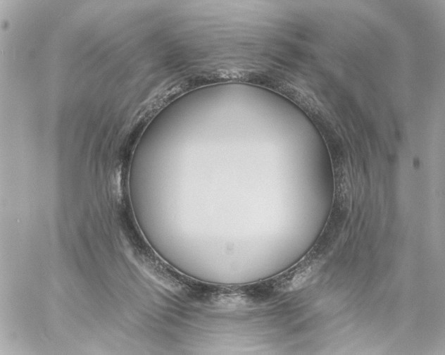 X0000057080262200510071853