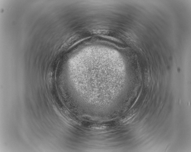 X0000057080263200510071853