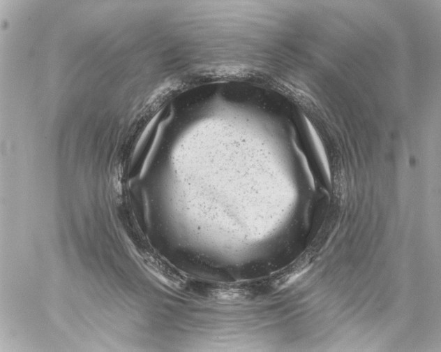 X0000057080264200510071853