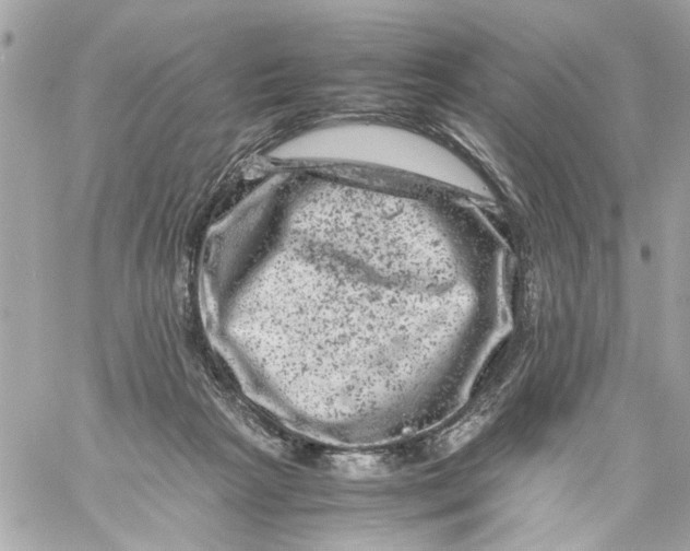 X0000057080265200510071853