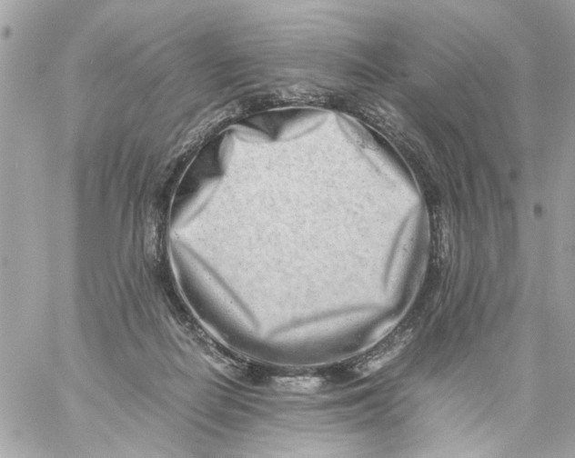 X0000057080266200510071853