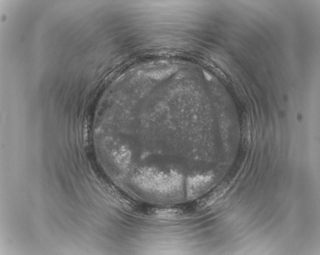 X0000057080268200510071853