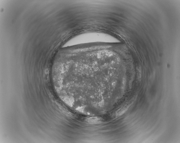 X0000057080269200510071853