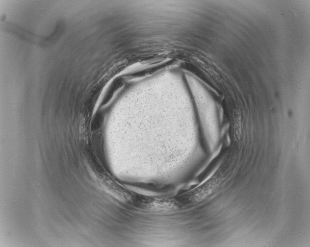 X0000057080270200510071853