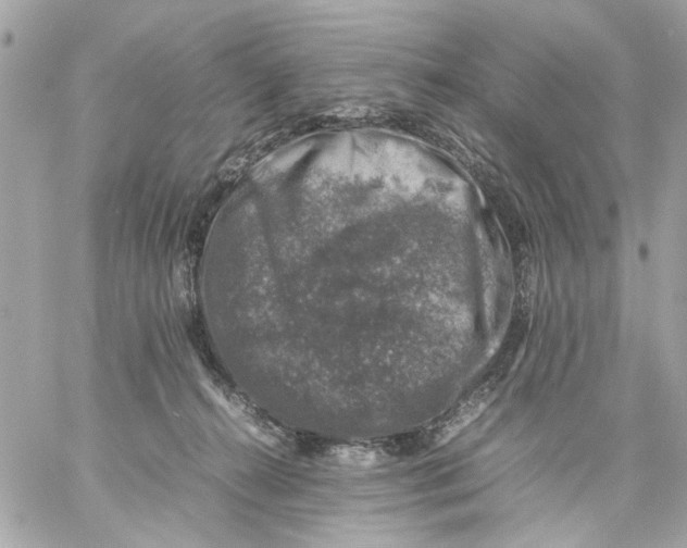 X0000057080272200510071853