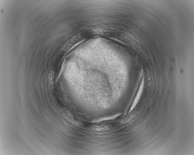 X0000057080275200510071853