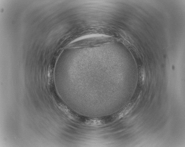 X0000057080276200510071853