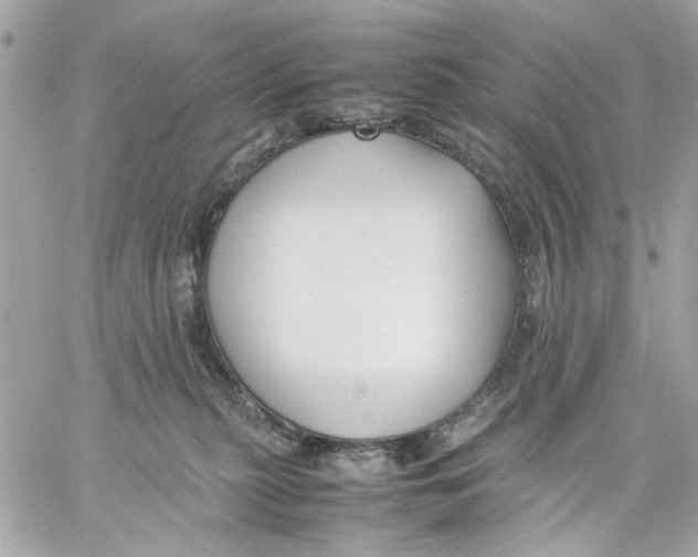 X0000057080279200510071853