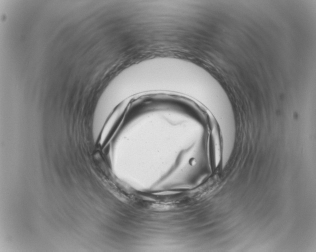 X0000057080280200510071853