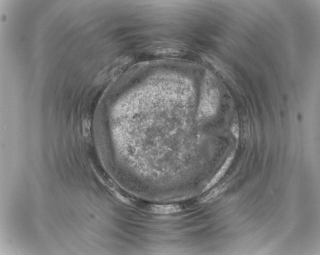 X0000057080281200510071853