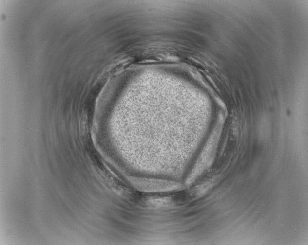 X0000057080283200510071853