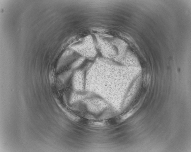 X0000057080285200510071853