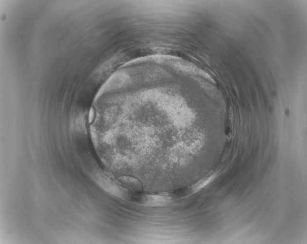 X0000057080286200510071853