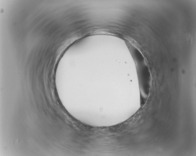 X0000057080289200510071852