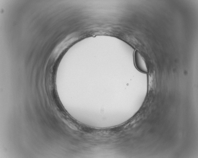 X0000057080291200510071852