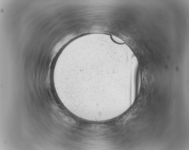 X0000057080292200510071852