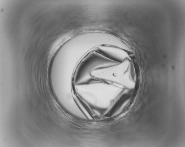 X0000057080293200510071852