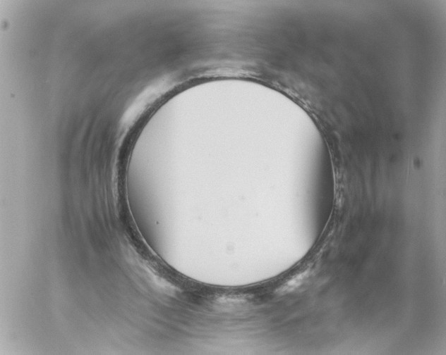 X0000057080296200510071852