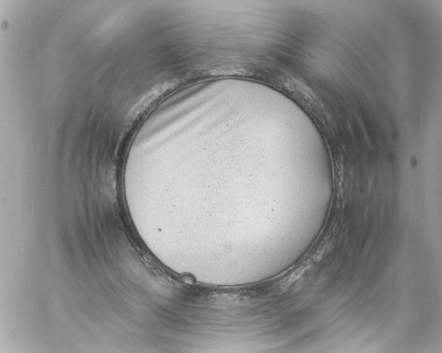 X0000057080298200510071852