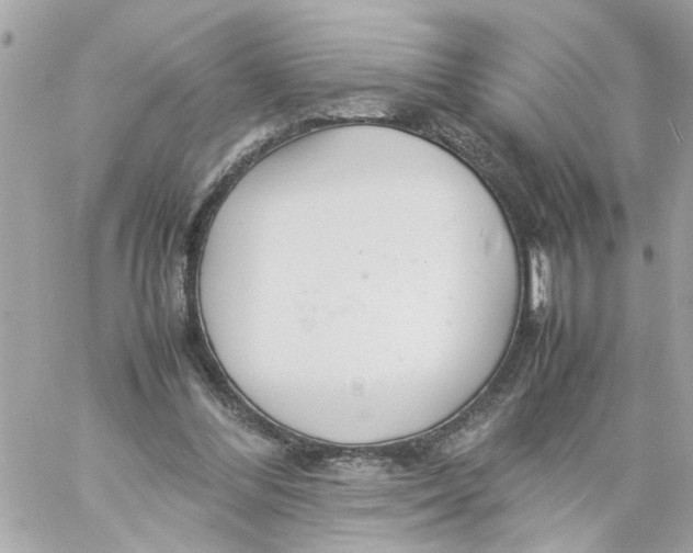 X0000057080300200510071852