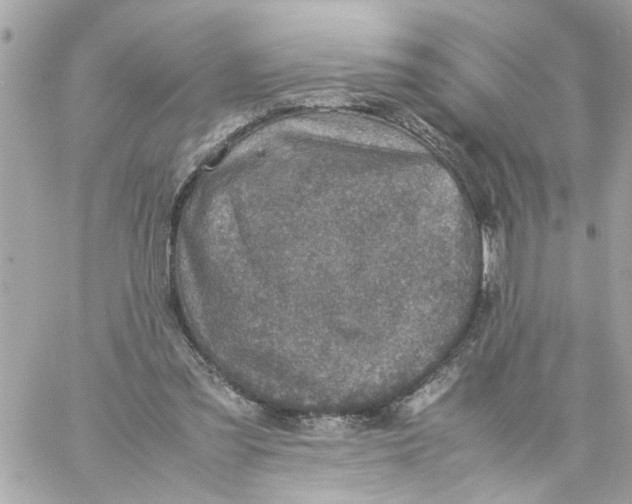 X0000057080301200510071852